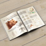 Revista Infografía oso pirenaico